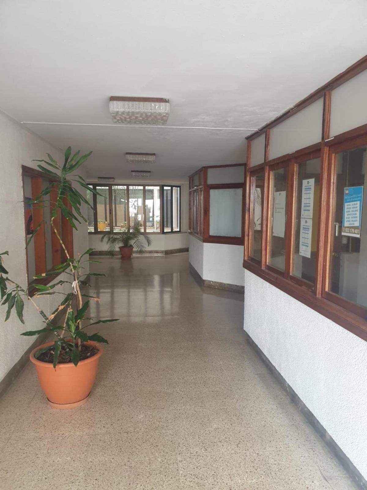 Gold Oasis Apartment 厄尔梅达诺 外观 照片