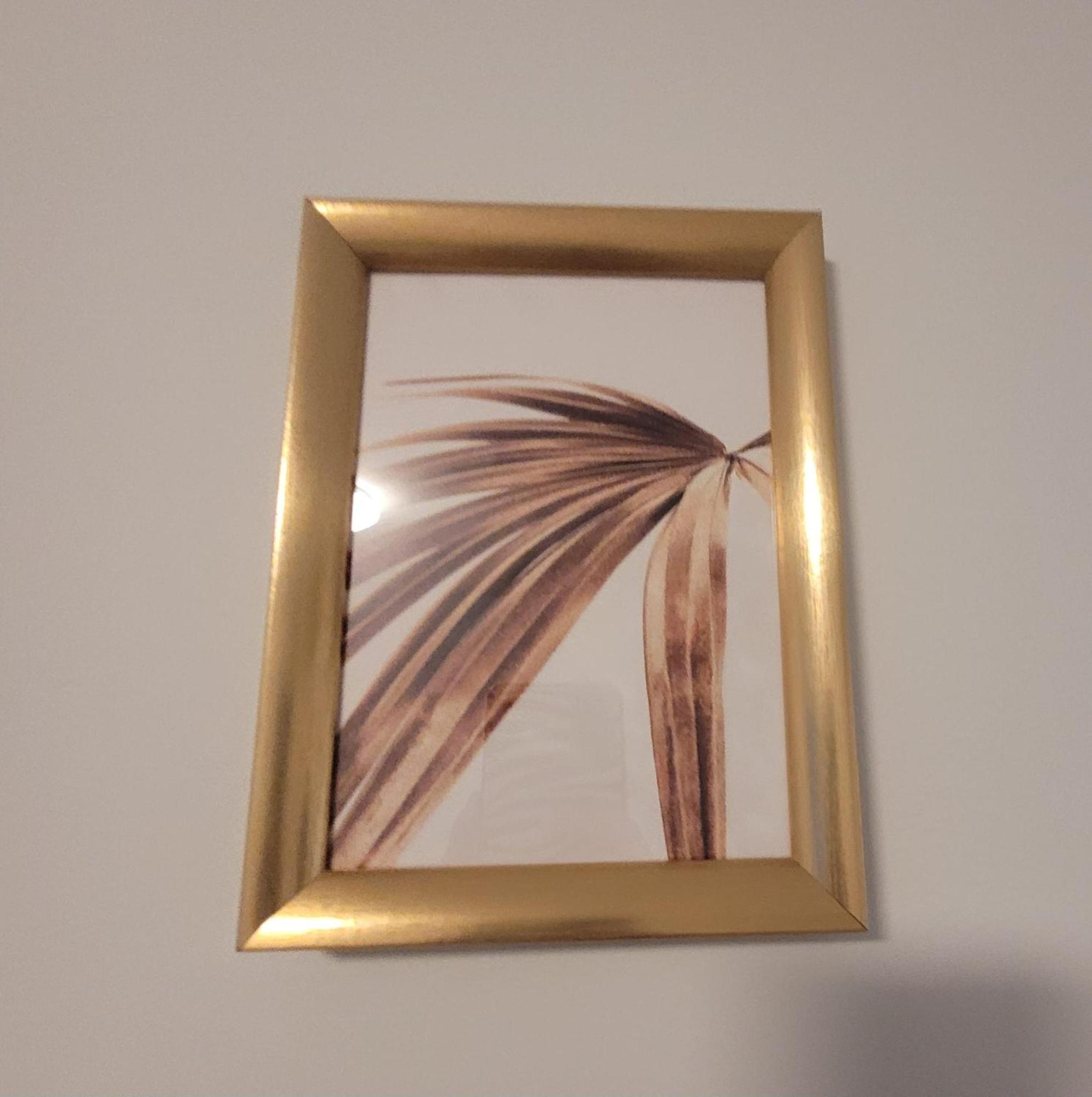 Gold Oasis Apartment 厄尔梅达诺 外观 照片